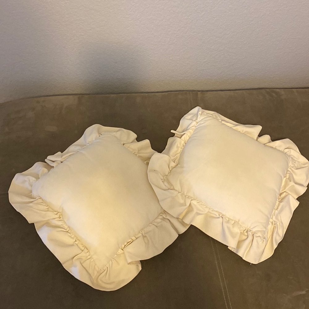 Set of 2 decorative pillows